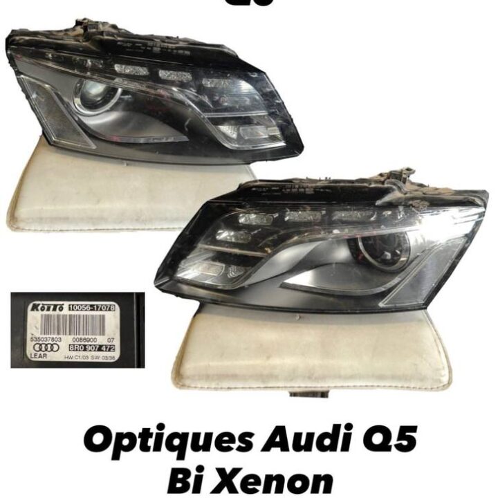 Optiques Bi Xénon